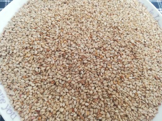 生白芝麻，传统自留种，自然晒干 商品图3