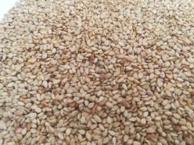 生白芝麻，传统自留种，自然晒干