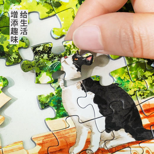 TOi图益-潮玩拼图系列-《故宫四季-夏》-300片 商品图3