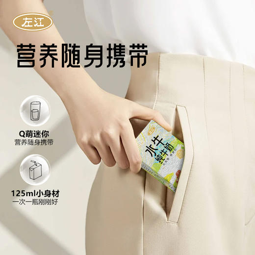 左江a2β-酪蛋白水牛纯牛奶 125ml*8盒装 健康整箱 商品图4