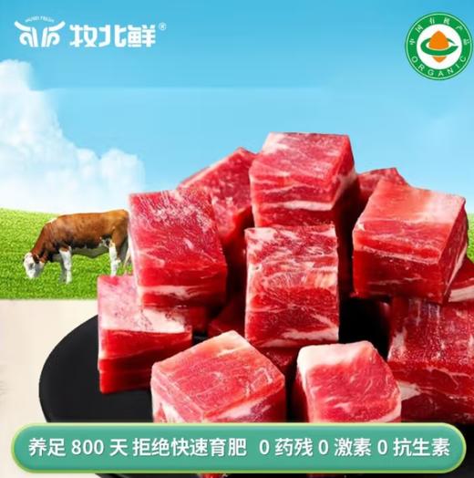 牧北鲜内蒙古有机原切牛腩块 商品图0