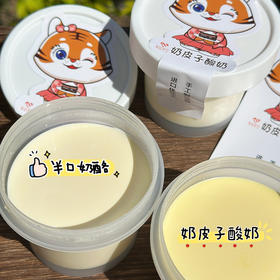 奶皮子酸奶（约10点半做好）冷藏保存
