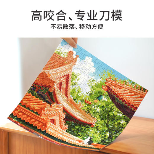 TOi图益-潮玩拼图系列-《故宫四季-夏》-300片 商品图1
