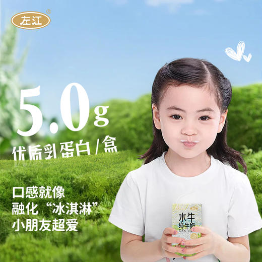 左江a2β-酪蛋白水牛纯牛奶 125ml*8盒装 健康整箱 商品图1
