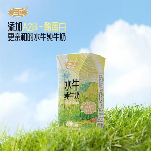 左江a2β-酪蛋白水牛纯牛奶 210ml*10盒 乳糖不耐受福音，营养好吸收 商品图0