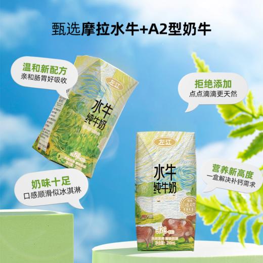 左江a2β-酪蛋白水牛纯牛奶 210ml*10盒 乳糖不耐受福音，营养好吸收 商品图6