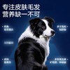 卫仕爆爆桶主食冻干生骨肉狗粮深海鳕鱼胶原磷虾飞鱼子狗狗金毛 商品缩略图4