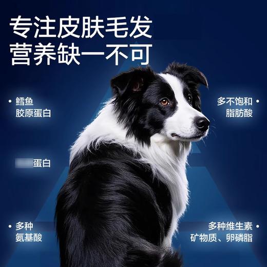 卫仕爆爆桶主食冻干生骨肉狗粮深海鳕鱼胶原磷虾飞鱼子狗狗金毛 商品图4