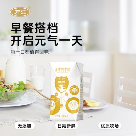 左江水牛纯牛奶210ml*10成人儿童孕妇学生营养早餐奶广西 商品图1