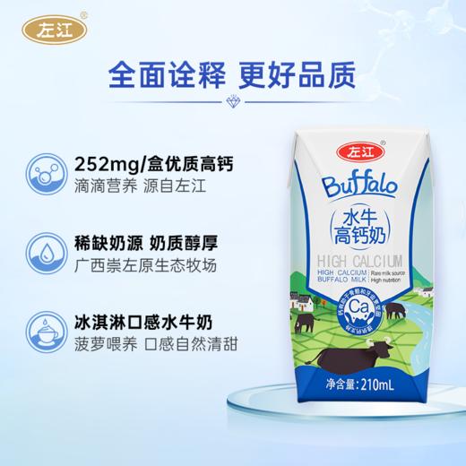 左江水牛高钙奶210ml*10盒成人儿童青少年学生成长营养早餐奶整箱牛奶 商品图2