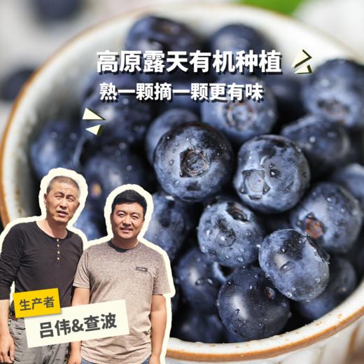 有机蓝莓（云南昆明）| 合作生产*Organic blue berry |  Partner Production 商品图0