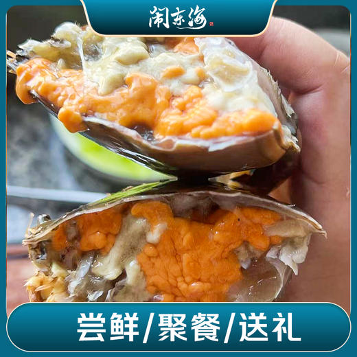 迎端午·正宗三门青蟹 商品图3