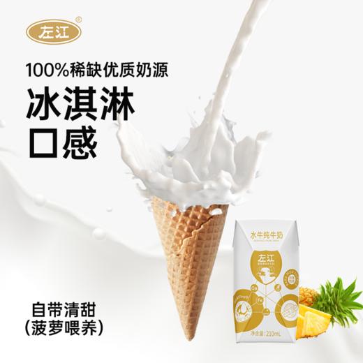 左江水牛纯牛奶210ml*10成人儿童孕妇学生营养早餐奶广西 商品图3