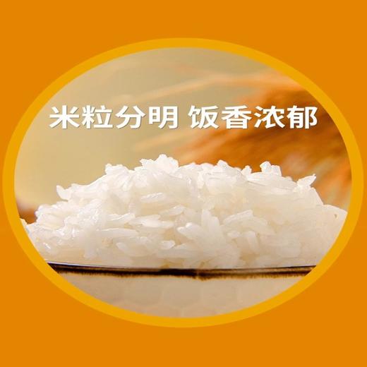 泰皇泰香米（新双层包装）5kg 商品图1