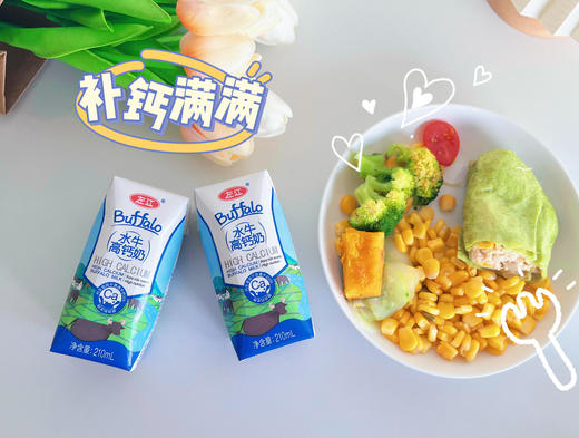左江水牛高钙奶210ml*10盒成人儿童青少年学生成长营养早餐奶整箱牛奶 商品图4