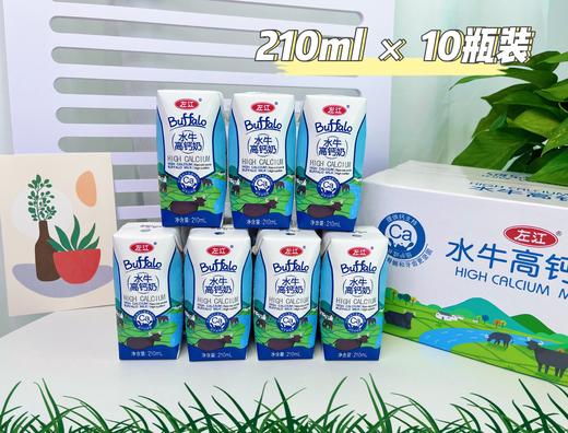 左江水牛高钙奶210ml*10盒成人儿童青少年学生成长营养早餐奶整箱牛奶 商品图1