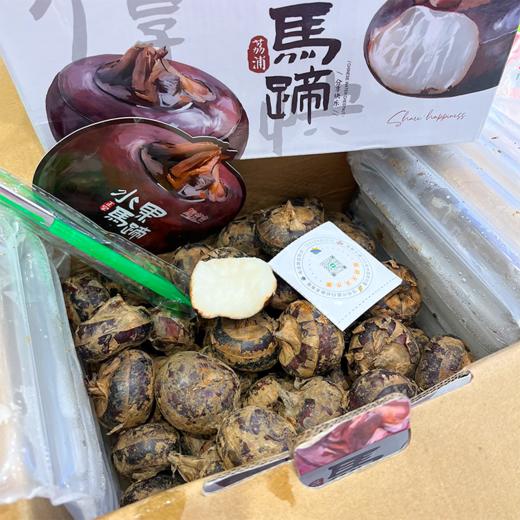 脆吉吉马蹄  产地直供 更甜的大荸荠 商品图5