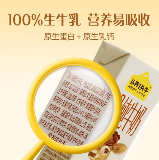 娟姗纯牛奶 商品图1