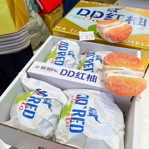 泰国双象牌DD红心柚 柚子 商品图4