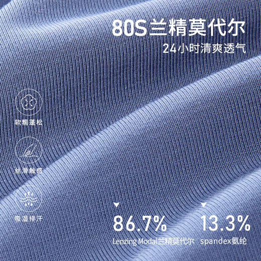 【2条装】皇家丽美男士卫他裤莫代尔7A抑菌里裆高弹力腰带底裤内裤WTKN1 商品图4