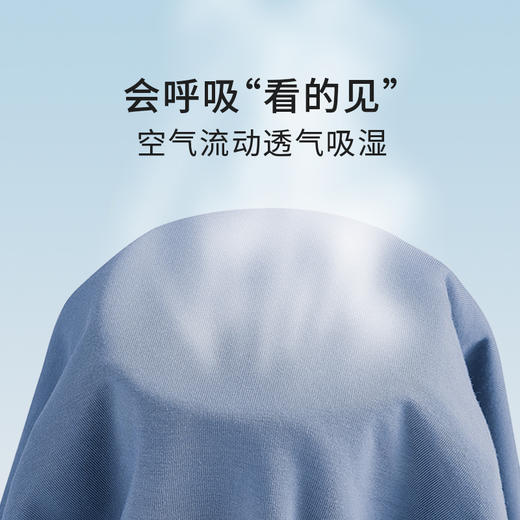 【2条装】皇家丽美男士卫他裤莫代尔7A抑菌里裆高弹力腰带底裤内裤WTKN1 商品图5