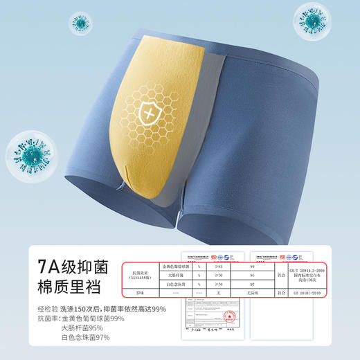【2条装】皇家丽美男士卫他裤莫代尔7A抑菌里裆高弹力腰带底裤内裤WTKN1 商品图1