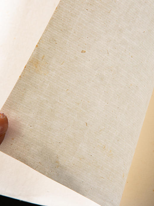 70-80年十竹斋制尺八屏木版水印松树大画笺（单张） 商品图5