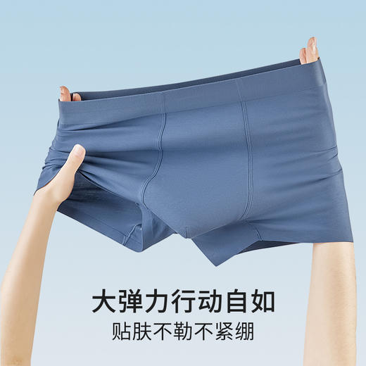 【2条装】皇家丽美男士卫他裤莫代尔7A抑菌里裆高弹力腰带底裤内裤WTKN1 商品图3