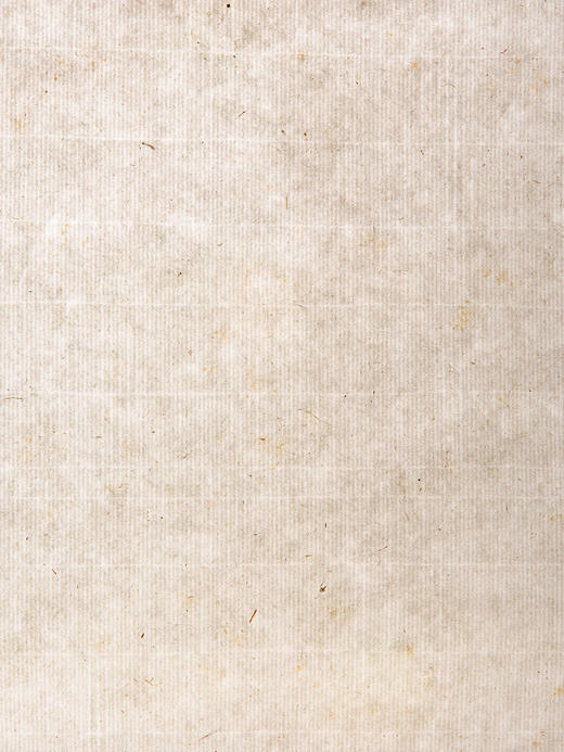 70-80年十竹斋制尺八屏木版水印松树大画笺（单张） 商品图14