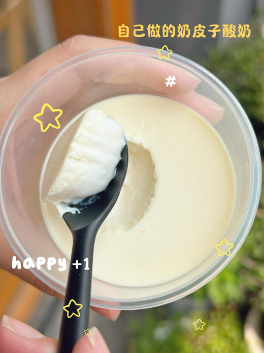 招牌奶皮子酸奶（原味）/24小时发酵 商品图2