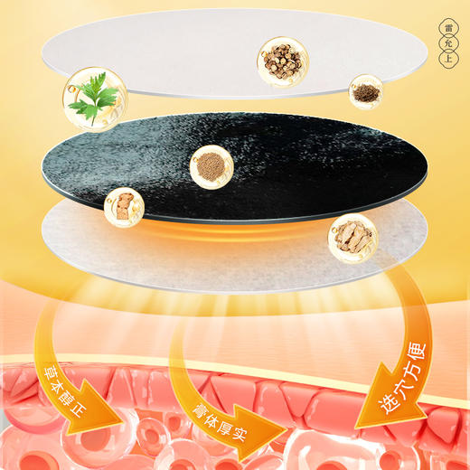 【雷允上 三伏贴】2岁+儿童 成人 冬恙夏养 穴位贴艾草草本膏芯 贴敷 商品图4