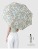 UPF50+防晒富尔顿FULTON英国进口MORRIS金百合雨伞防晒 商品缩略图3