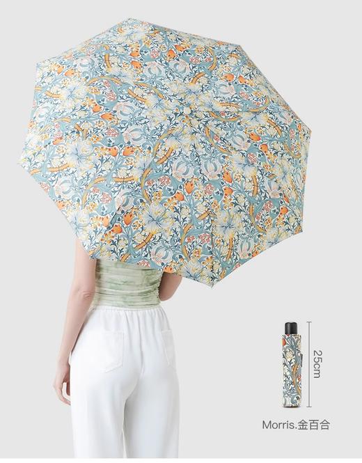 UPF50+防晒富尔顿FULTON英国进口MORRIS金百合雨伞防晒 商品图3