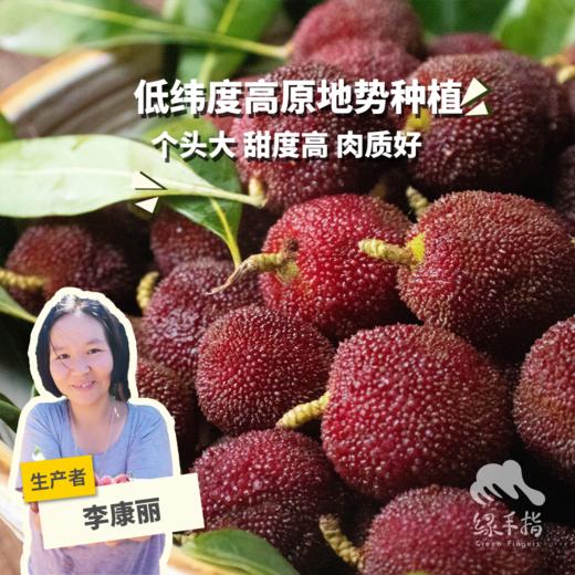 【下雨预售】生态东魁杨梅 | 合作生产*Eco-waxberry | Partner Production 商品图0