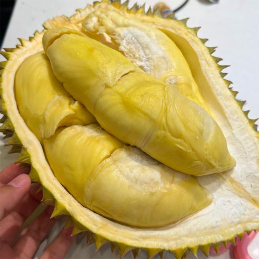 泰国甲仑榴莲B果  四房肉 商品图4