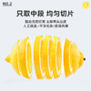 【19.9抢❗冻干柠檬片】甄选品质新鲜柠檬制作，果肉饱满片片均匀，低温冻干工艺及时锁鲜，办公室网红水果茶L 商品缩略图1