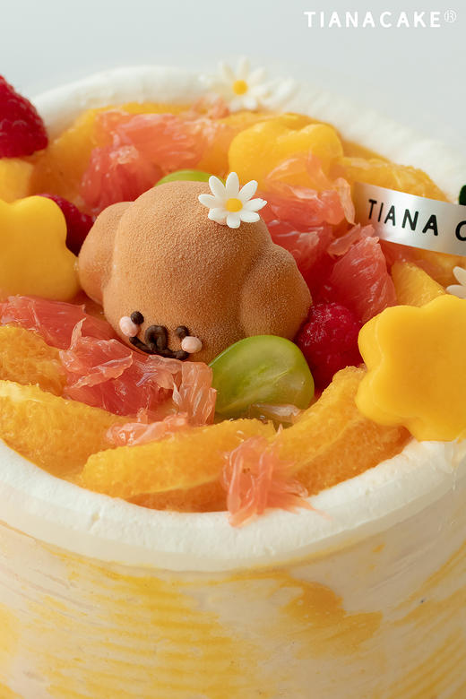 🍃轻盈仲夏【🍊橙心橙意】浓郁橙香 商品图8