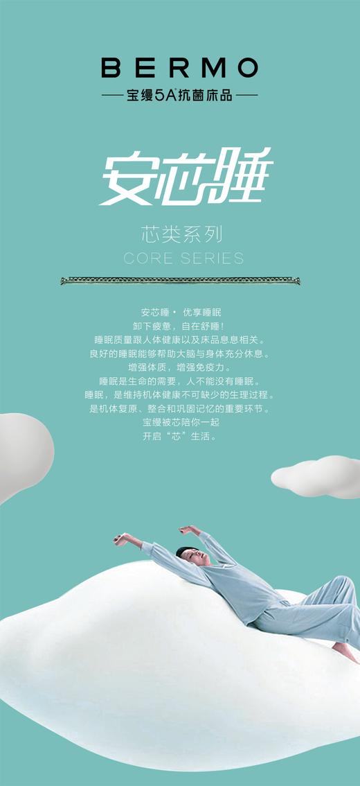 10楼宝缦 超柔防螨抗菌夏被 吊牌价580元 活动价169-199/条 3款花型随机发 商品图2