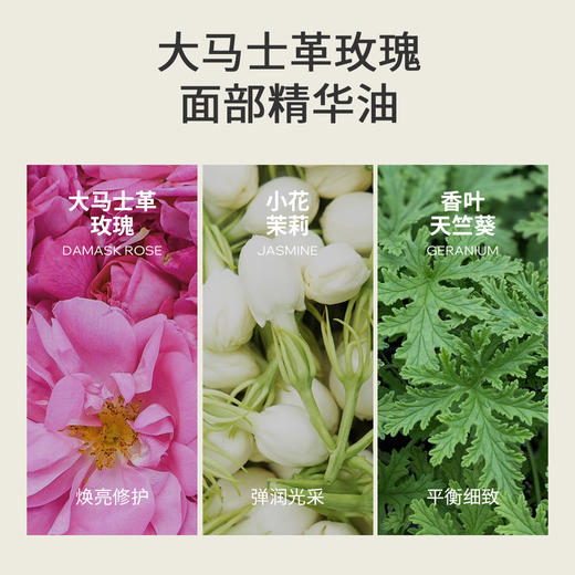 芳养三重奏礼盒套装天然植物精华油滋养修护（大马士革玫瑰面部精华油8ml+薰衣草安恬精华油8ml+柠檬草舒缓精华油8ml) 商品图1