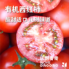 【同行精选】有机水果西红柿3斤/4.5斤   籽粒饱满  味道浓郁（适合生吃） 商品缩略图1