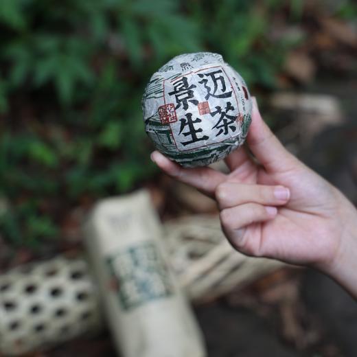 「景迈沱茶」绵柔回甘，2025年头春头采普洱生茶（100gx5沱） 商品图1