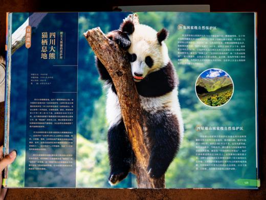 【限时特惠】《中国世界遗产全书》精装全2册（赠非遗纸鸢帆布包）| 一次看遍中国112处世界遗产，足迹贯穿68座城，史上zui全收录！探寻124项非遗瑰宝，尽览5000年华夏文明精粹 商品图5