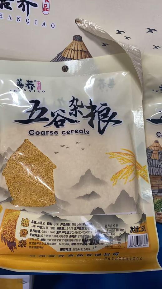 【秒杀25.12.19到期】会宁县善荞油香米250g（小米） 商品图2