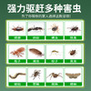 【德国慕尼黑驱蚊蟑螂凝胶】蚊香防蚊魔珠植物精华凝珠驱蟑蟑螂魔盒 商品缩略图2