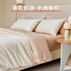 爆卖 10W+！A 类母婴级双面冰丝床品四件套！裸睡像裹着云朵，木浆纤维养肤到尖叫，拼色轻奢美到窒息！ 商品缩略图2