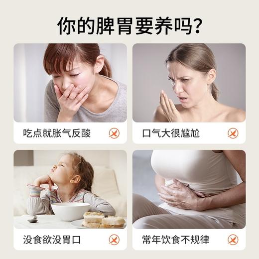 非遗铁棍山药粉 商品图6