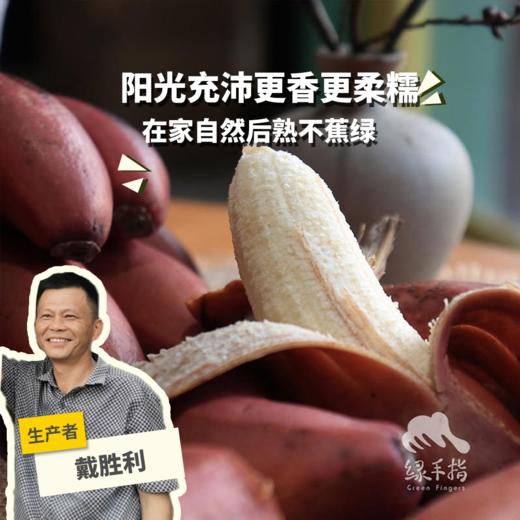 生态香蕉（圆通）| 合作生产 * Eco-banana | Partner Production 商品图0