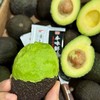 进口牛油果 商品缩略图9