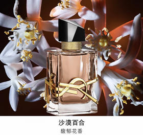 YSL 圣罗兰 自由之水
