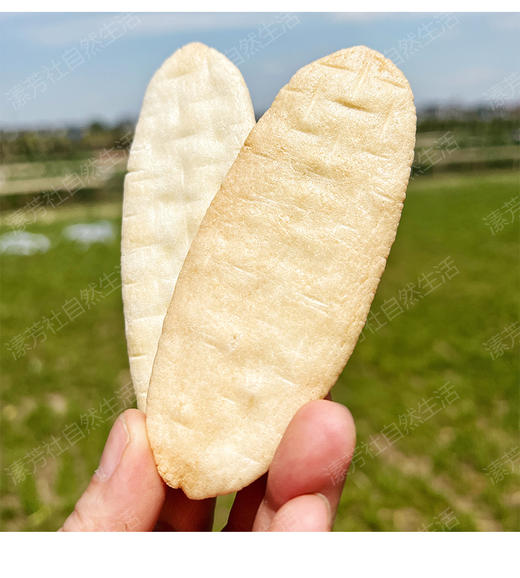 有机米饼50g×6盒（1盒含12袋即24片） 商品图1